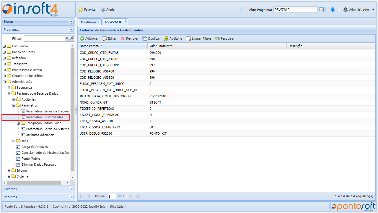 parametros-customizados1